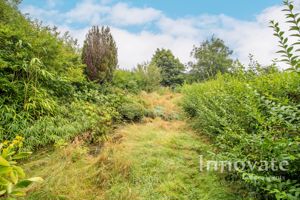 Photo 12- click for photo gallery